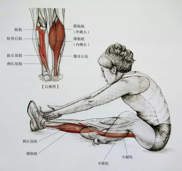 拉跟腱蹲姿跟腱拉伸一脚在后的胫骨前肌拉伸一脚交跨于前的拉伸抬单脚